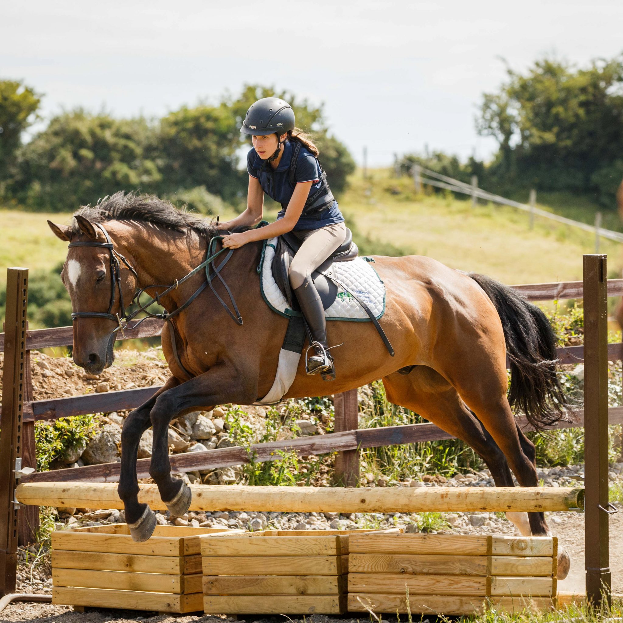 Sligo Riding Centre, Carrowmore, Sligo.Photo James Connolly26JUN18